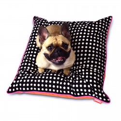 Pooky Pets - Cushions - Polka Dot  - Black - Orange